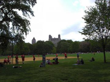 Terrain de baseball
