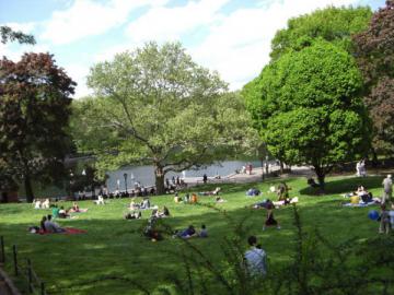 The lake