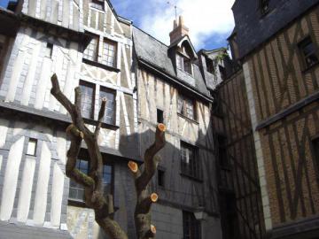 Maison à Colombage et son arbre coupé