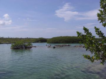 Les récifs de Yal-Ku