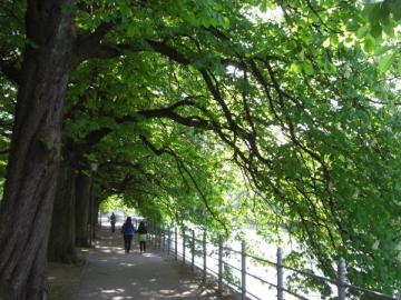 Quai piéton de l'Isar