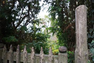Petit jardin intérieur