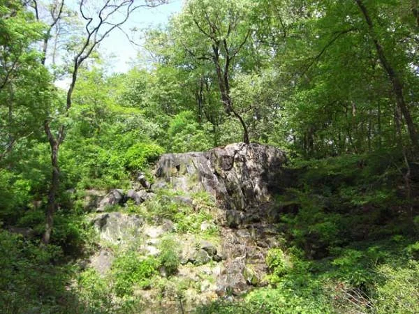 The jungle — Central Park de New-York (Etats-Unis)