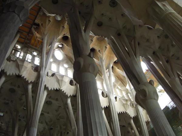 Piliers ramifiés — Sagrada Família (Espagne)