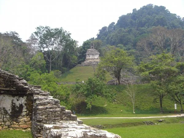 Pyramide couverte par la jungle — Ville préhispanique et parc national de Palenque (Mexique)