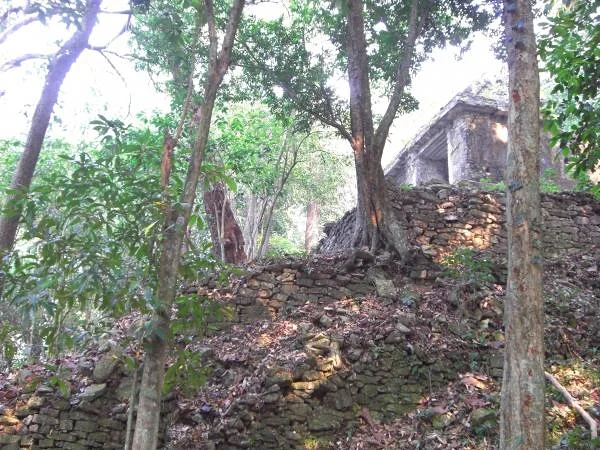 la colline était une pyramide — Ville préhispanique et parc national de Palenque (Mexique)