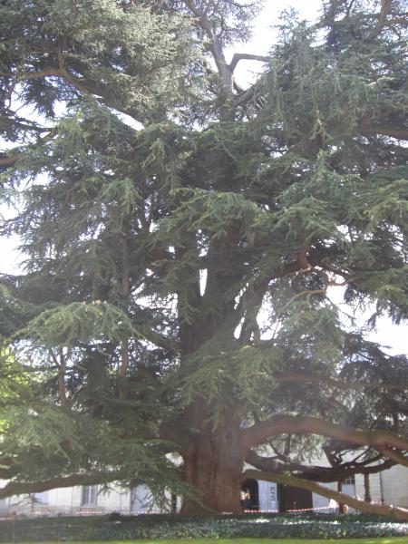 Musée des Beaux-arts