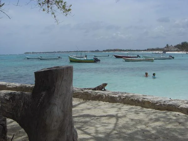 Bain de soleil à Akumal — Plage d'Akumal (Mexique)