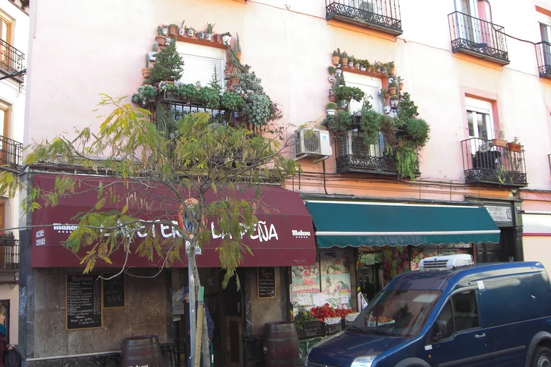 Balcons décorés de plantes — Madrid (Espagne)