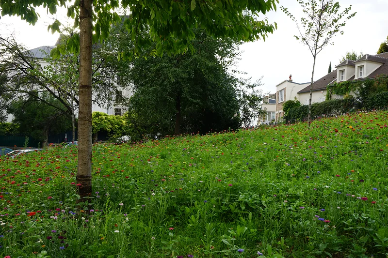 Petite place en fleurs — Paris (France)