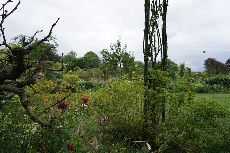 Jardin — Jardin et Maison Claude Monet (France)