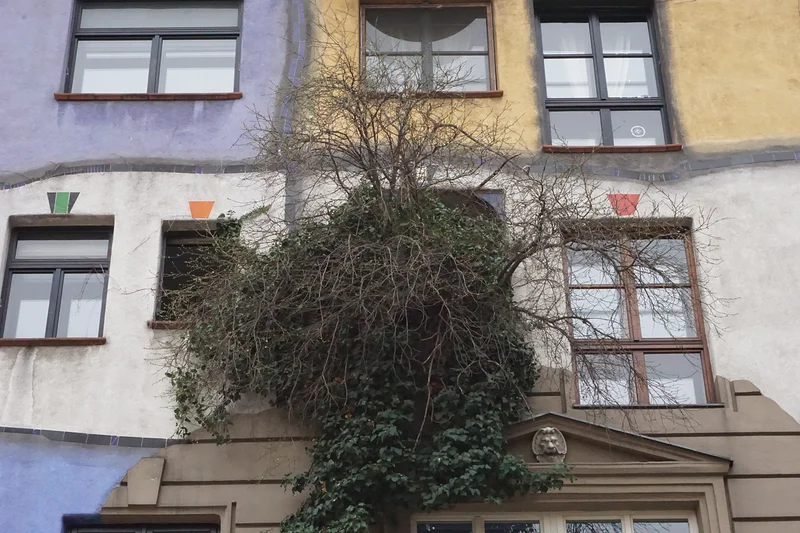Arbre poussant sur la façade — Maison Hundertwasser (Autriche)