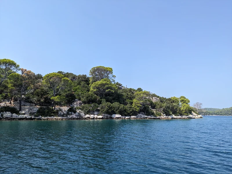 Forêt méditerranéenne — Parc national de Mljet (Croatie)