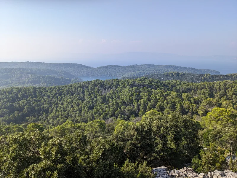 La forêt — Parc national de Mljet (Croatie)