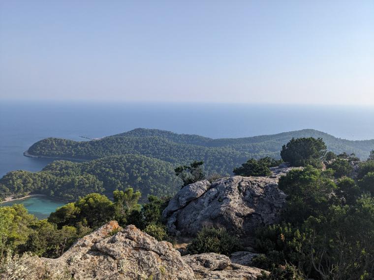 La forêt et la mer