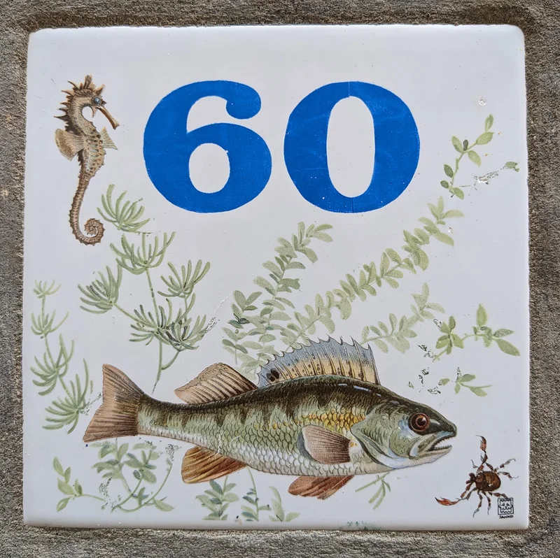 Plaque de numéro de rue — Cavtat (Croatie)