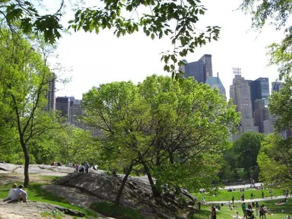 Bain de soleil sur la pelouse Bain de soleil sur la pelouse — Central Park de New-York (Etats-Unis)