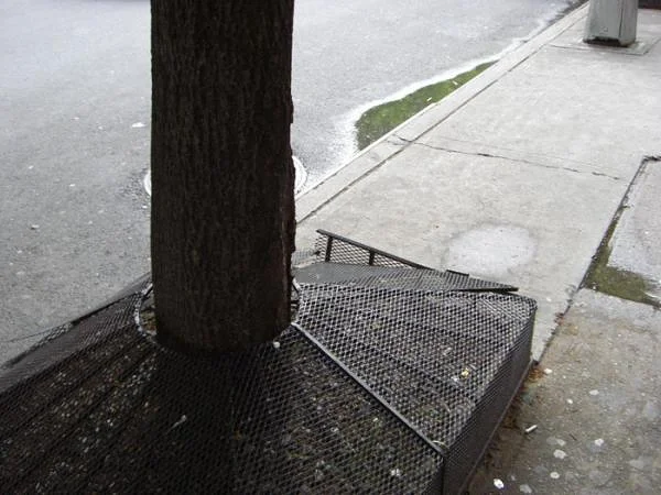 Protection du pied d'un arbre — New-York (Etats-Unis)
