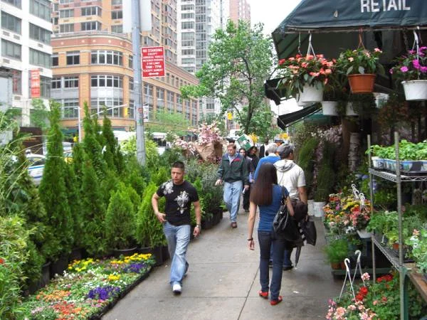 Fleuriste de Broadway Fleuriste de Broadway — Broadway (Etats-Unis)