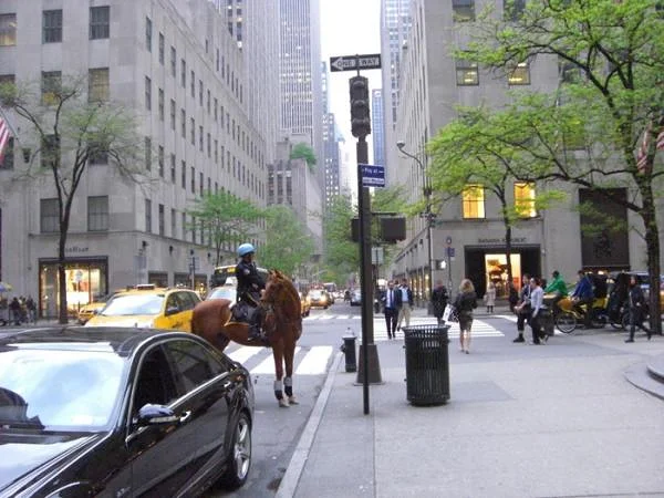 Garde à cheval de New-York Garde à cheval de New-York — New-York (Etats-Unis)