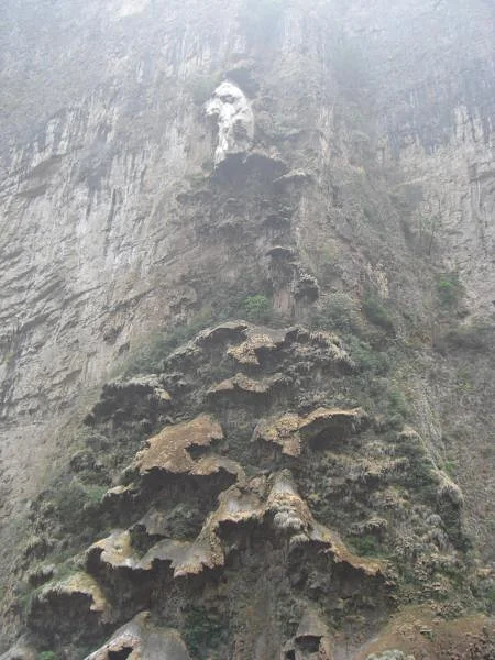 Le sapin de Noel de Sumidero Le sapin de Noel de Sumidero — Parc national de Cañón del Sumidero (Mexique)