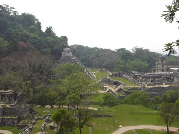 Vue du palacio et du templo des inscriptiones Vue du palacio et du templo des inscriptiones — Ville préhispanique et parc national de Palenque (Mexique)
