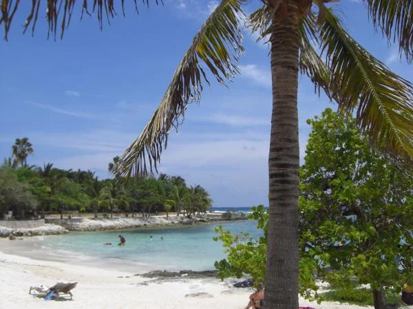 Farniente à Akumal Farniente à Akumal — Plage d'Akumal (Mexique)