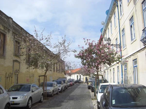 Rue du quartier du Castelo — Lisbonne (Portugal)