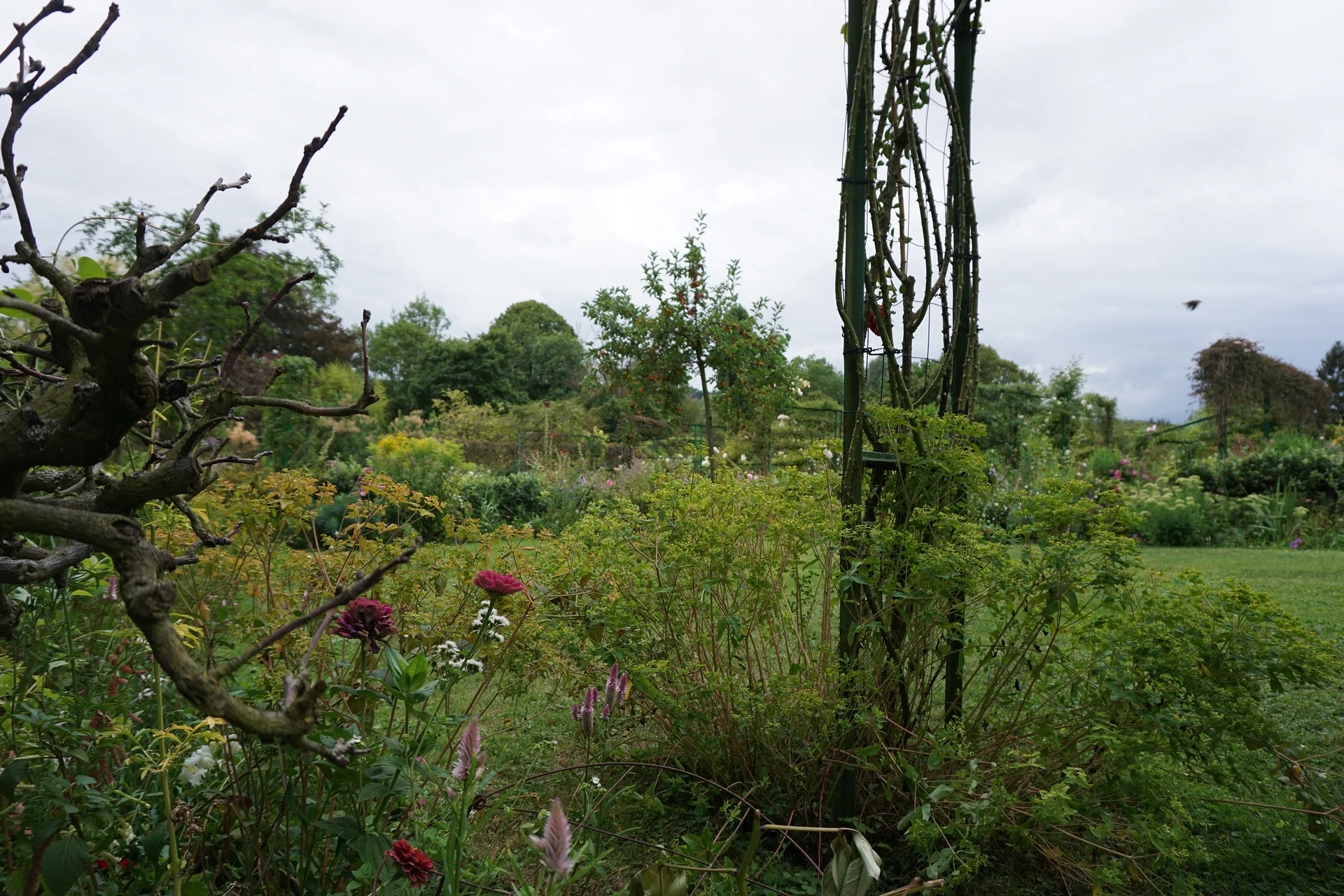 Jardin — Jardin et Maison Claude Monet (France)