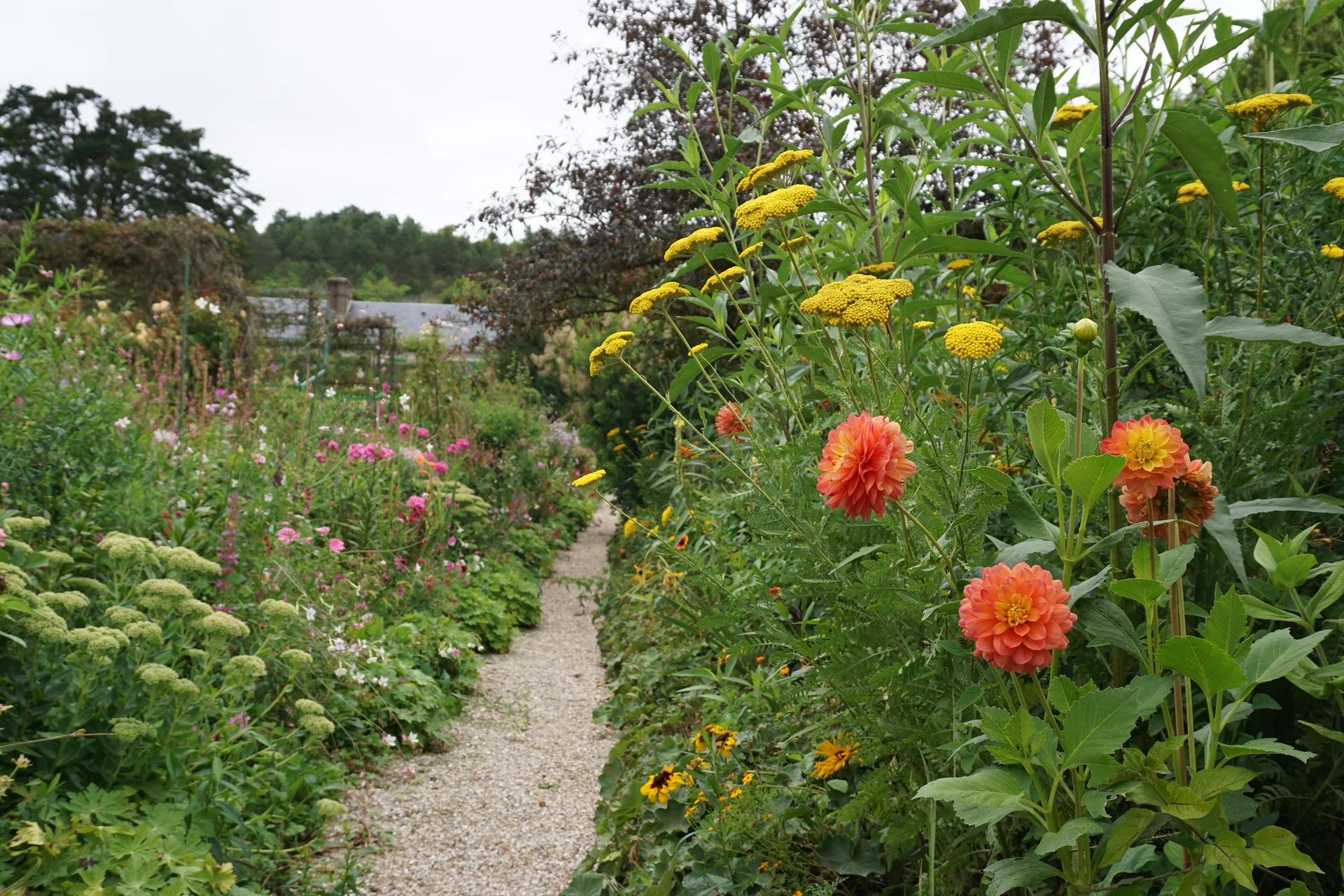 Fleurs orange et jaune — Jardin et Maison Claude Monet (France)