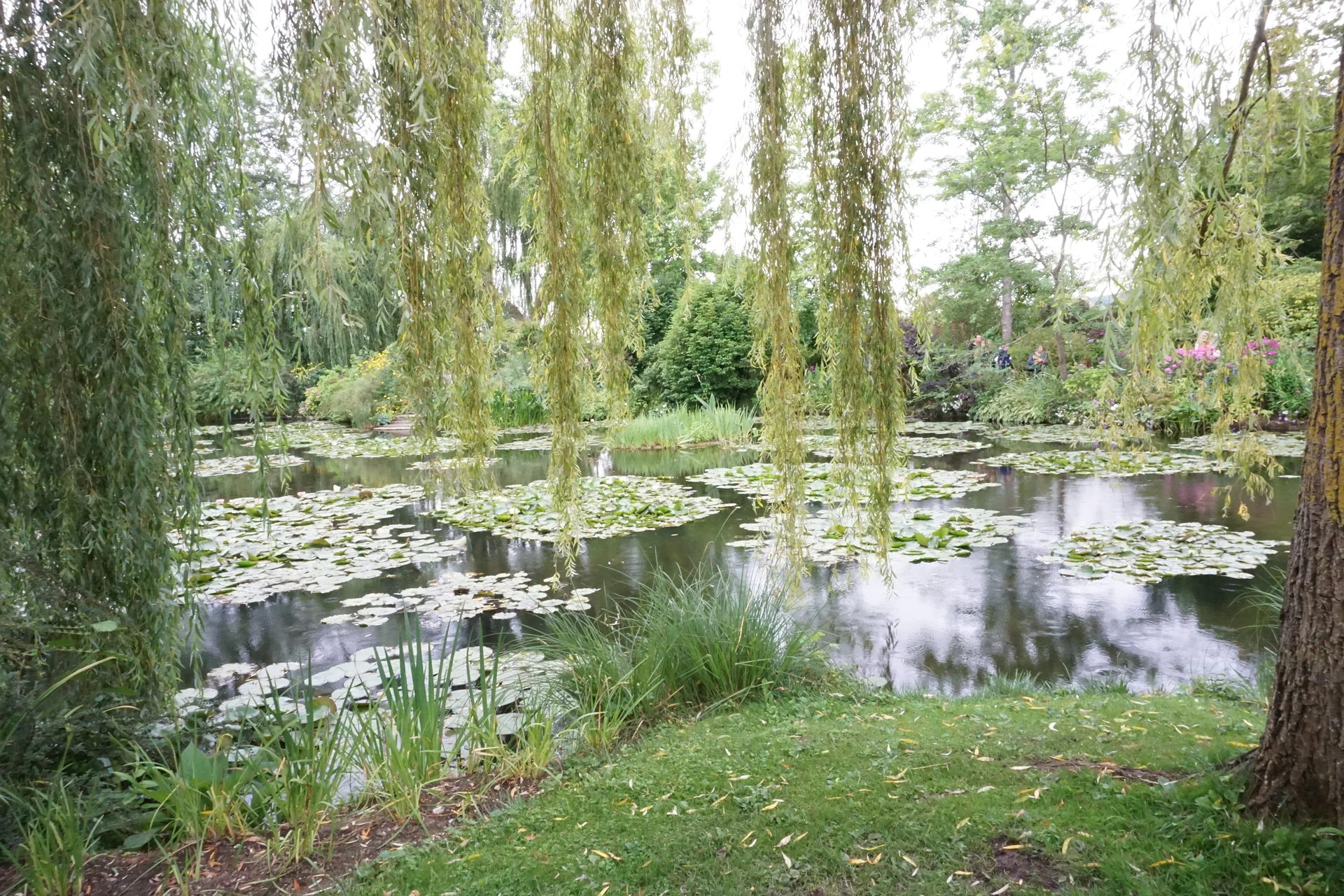 Etang dans le jardin Japonais — Jardin et Maison Claude Monet (France)