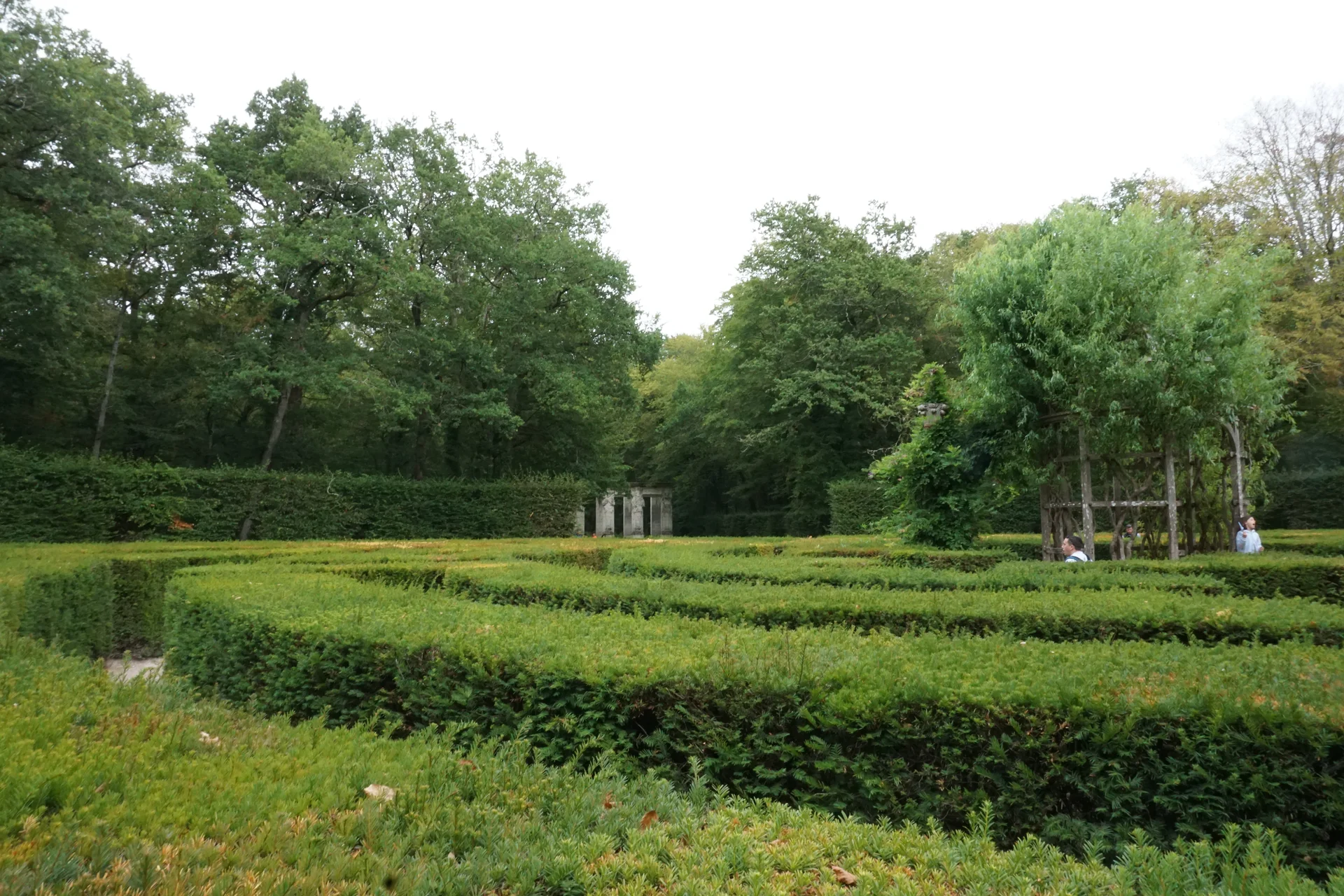 La labyrinthe