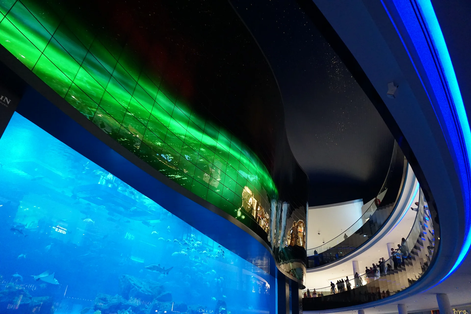 Aquarium de Dubaï Mall — Dubaï (Émirats arabes unis)