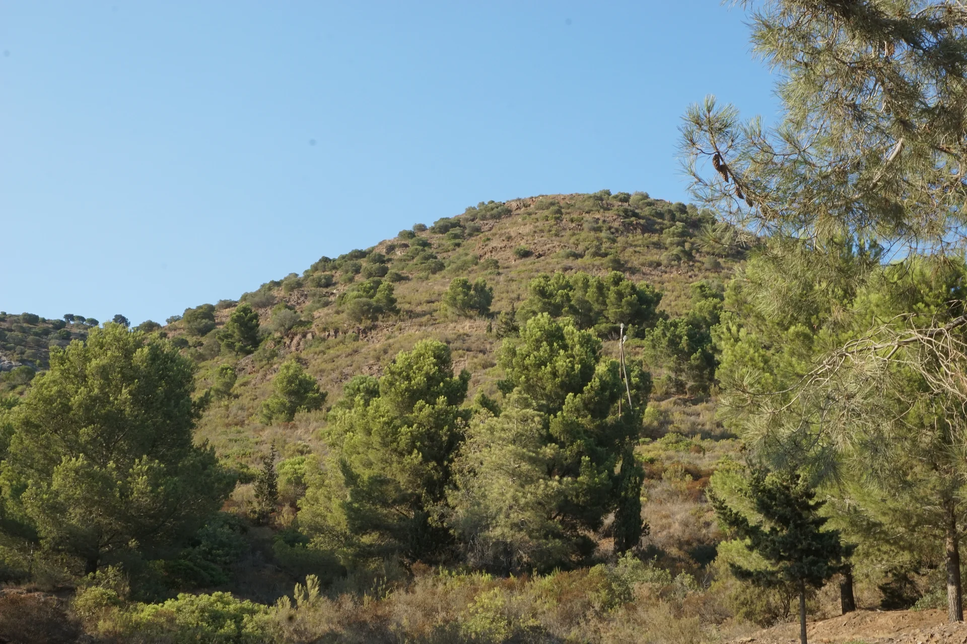 Paysage du parc naturel — Parc naturel du Cap de Creus (Espagne)