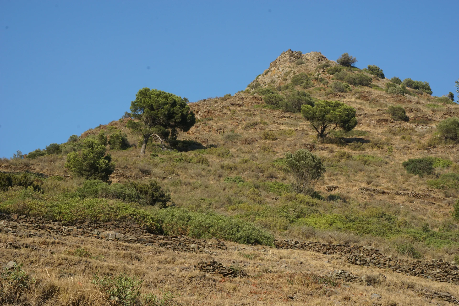 Castell de la Guardiola (?)