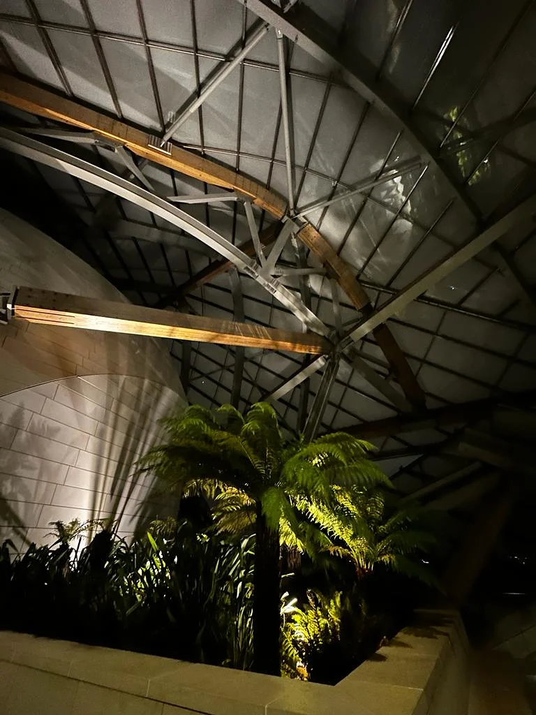 Terrasse de la fondation LVMH Terrasse de la fondation LVMH — Musée de la Fondation Louis-Vuitton (France)