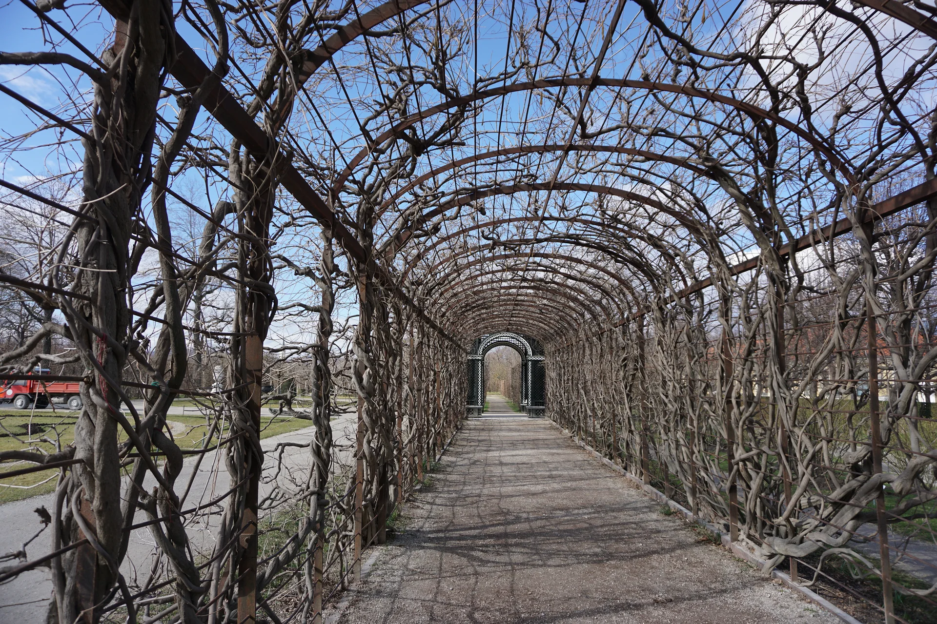 Glycines du jardin — Palais de Schönbrunn (Autriche)