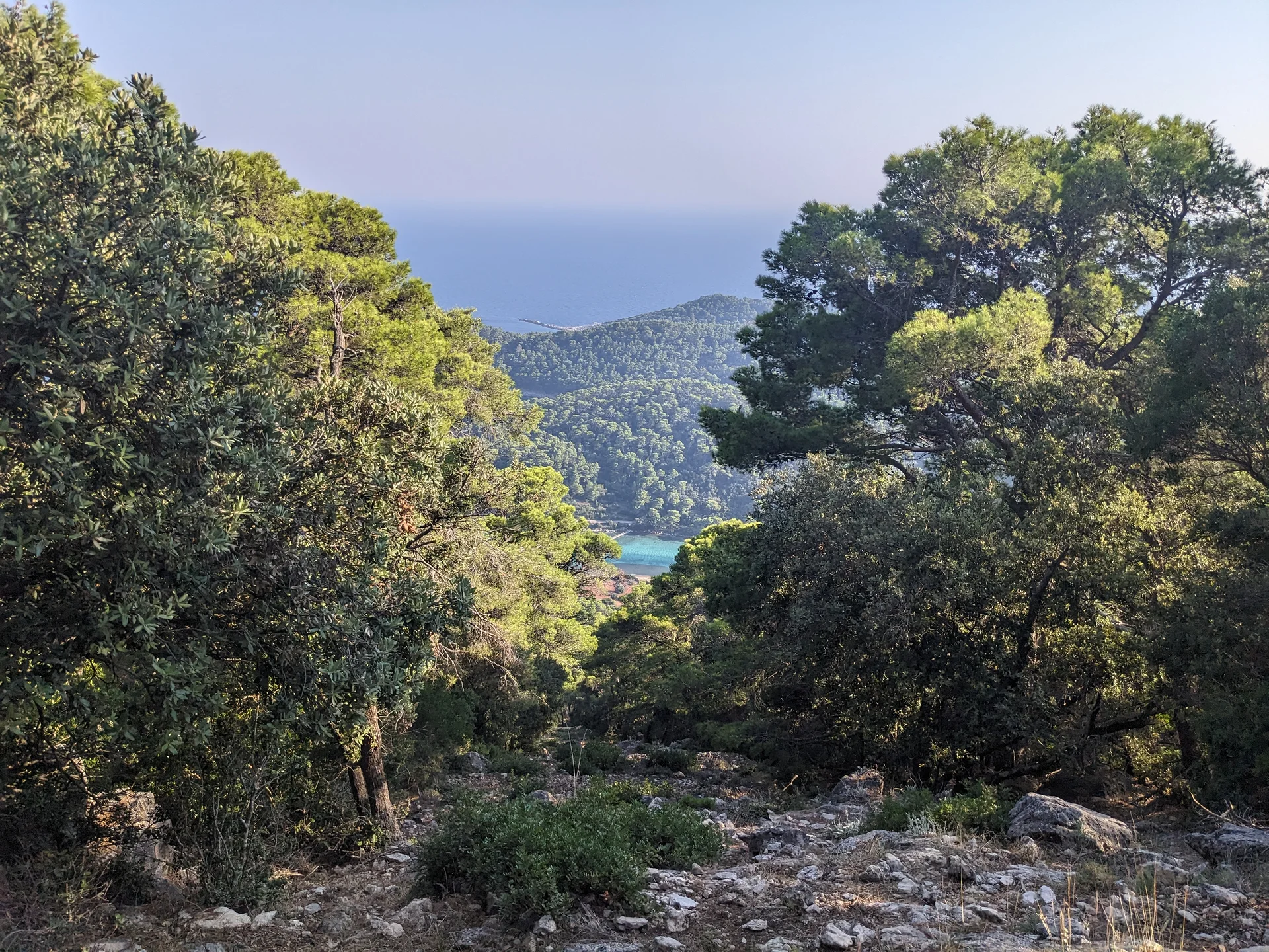 Ca monte Ca monte — Parc national de Mljet (Croatie)