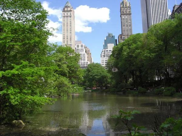 Images de Central Park à New-York au printemps