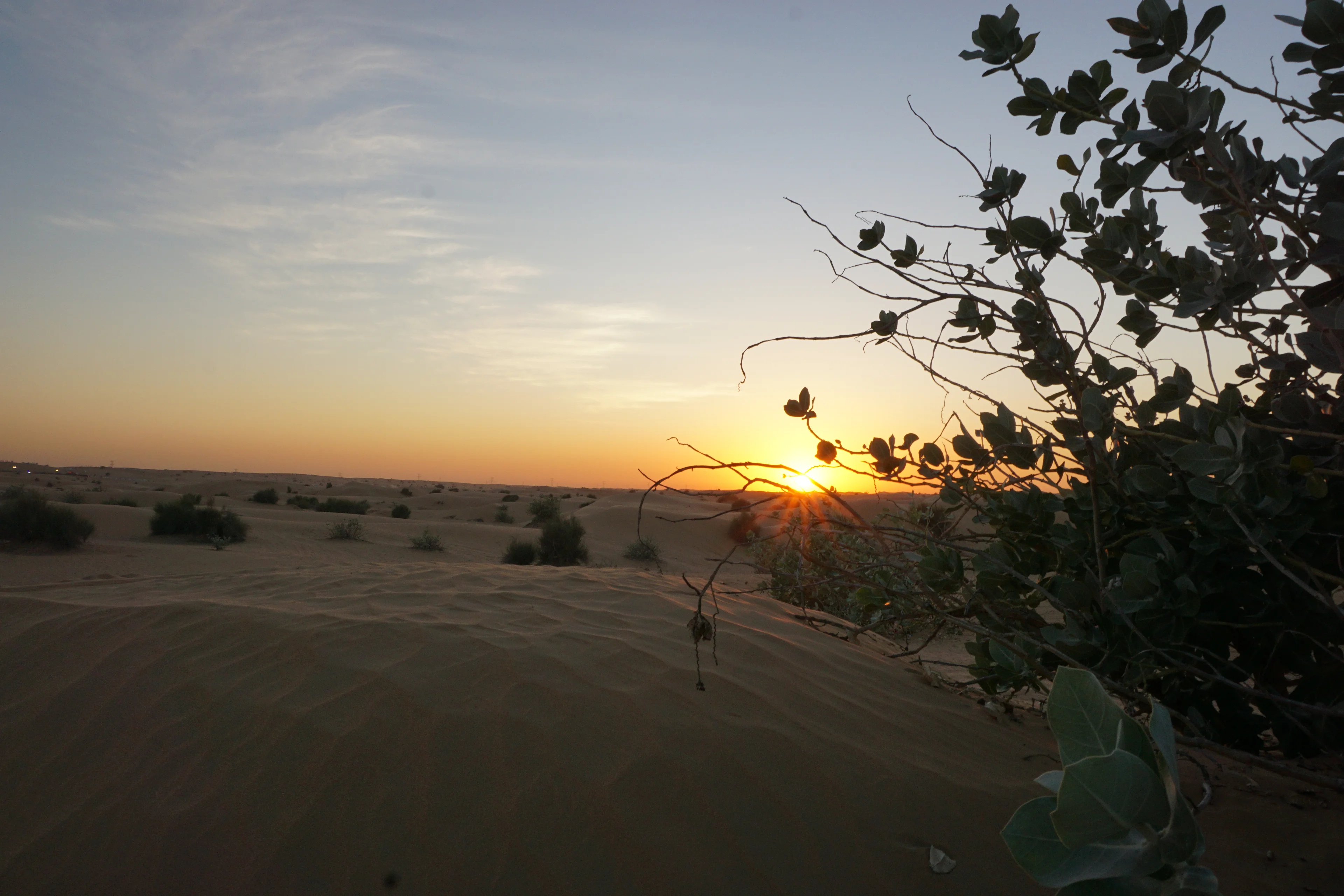 Excursion dans le désert de Dubaï
