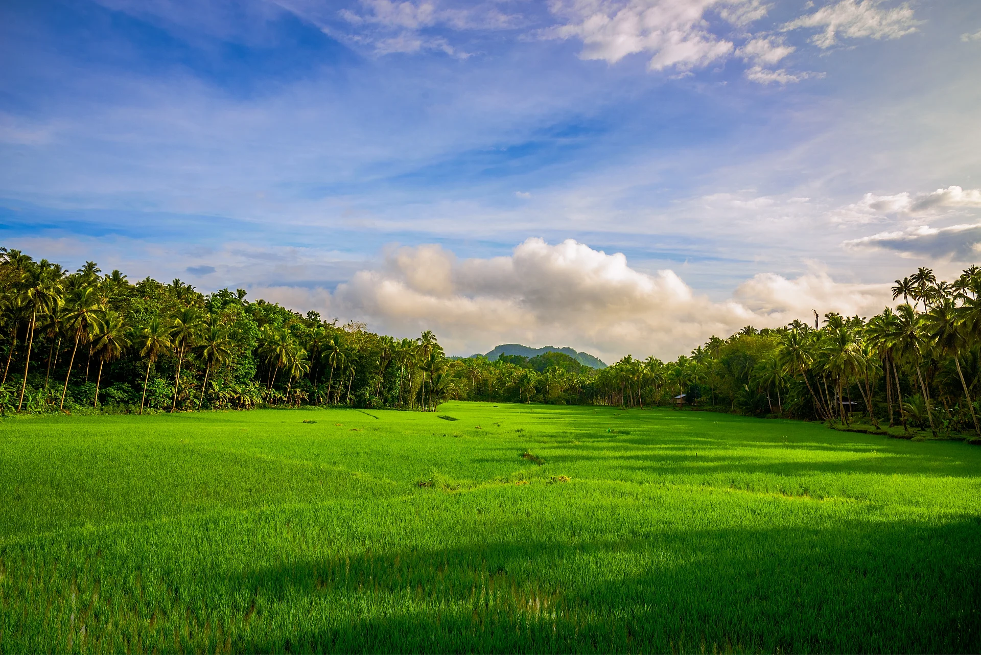 Carmen, Bohol (photo d'Ossiridian)