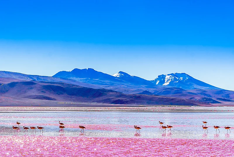 Top 3 melhores agências de viagens em Bolívia
