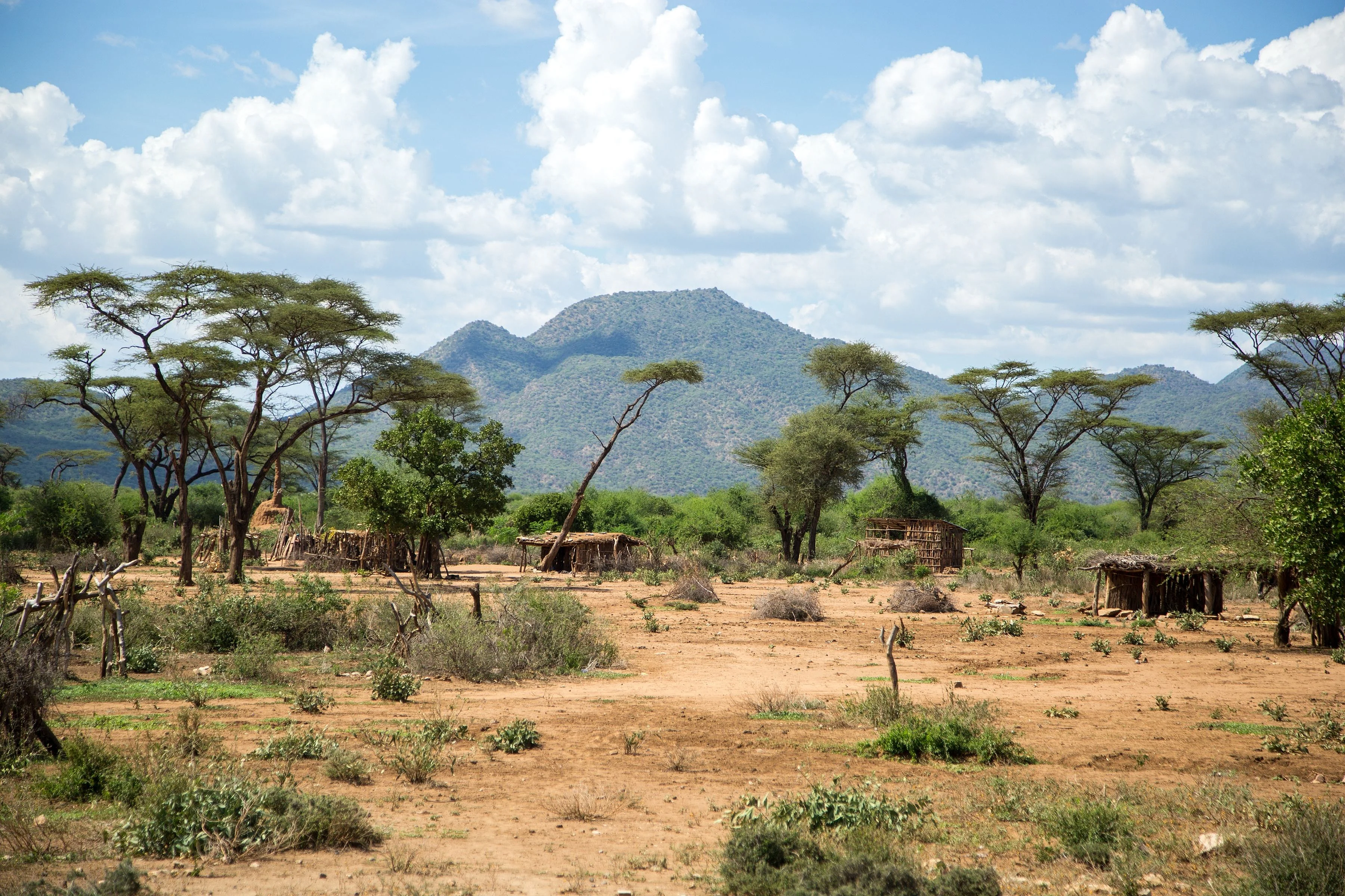 Savane en Ethiopie (photo de Goddard)