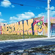 Wynwood