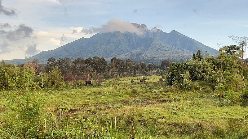 Parque Nacional de los Volcanes