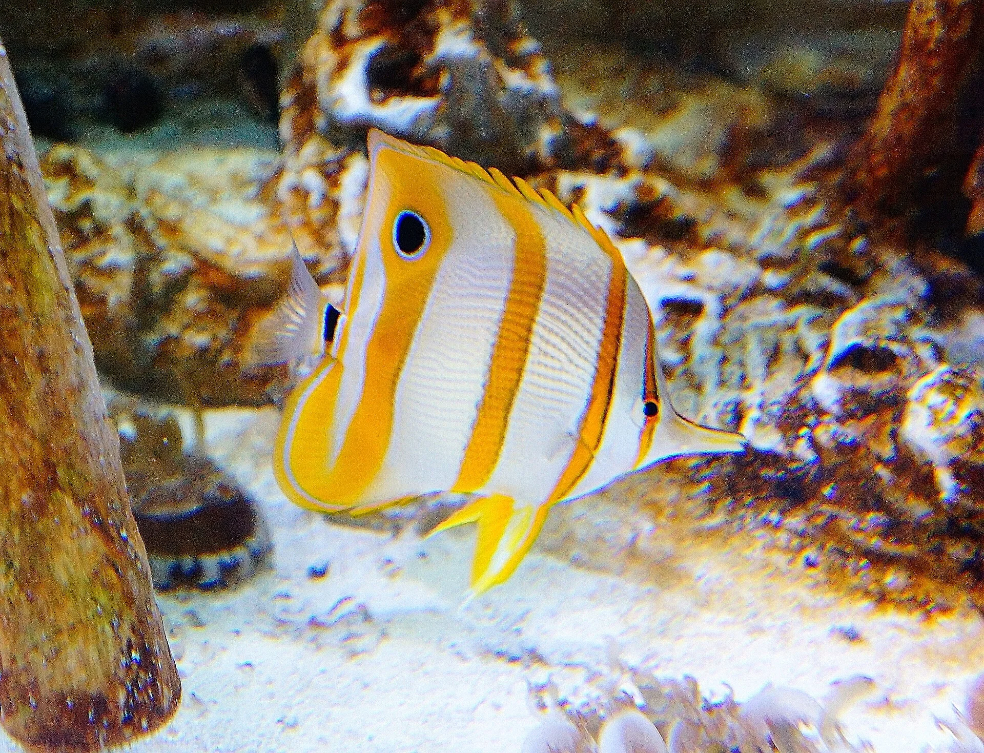Aquarium du Québec