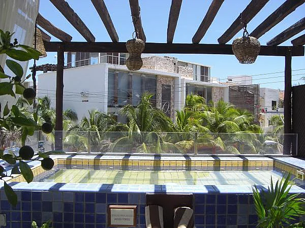 La mini piscine sur la terrasse