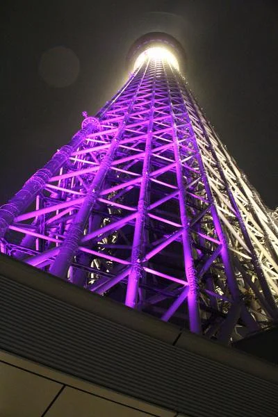 La Tour Tokyo Skytree photographiée depuis la base