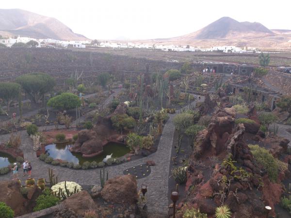 Jardin des cactus de Teguise