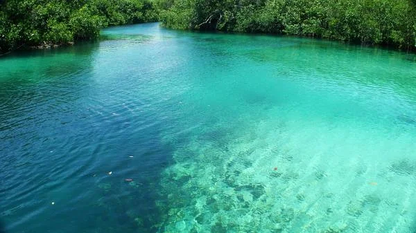 Lagon aux eaux Turquoises de Xel-Ha — Parc aquatique de Xel-Ha (Mexique)
